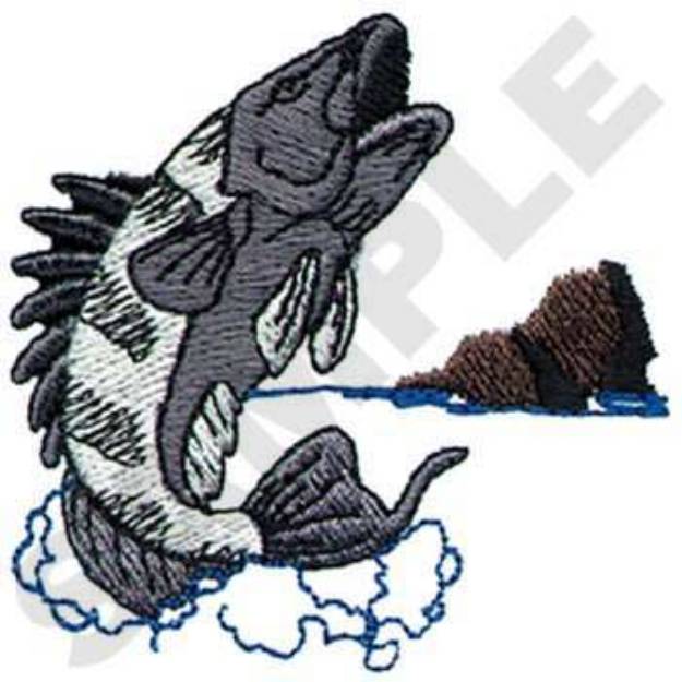 Picture of Black Sea Bass Machine Embroidery Design