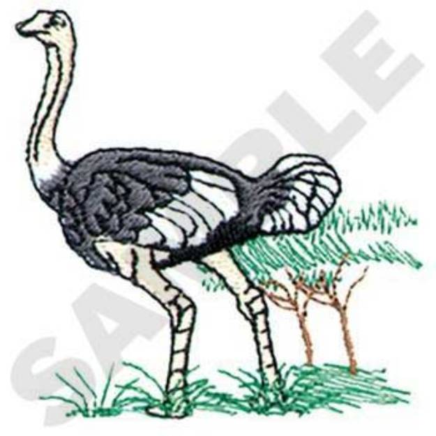 Picture of Ostrich Machine Embroidery Design