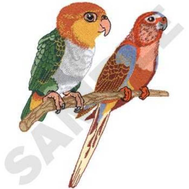 Picture of Parrots Machine Embroidery Design