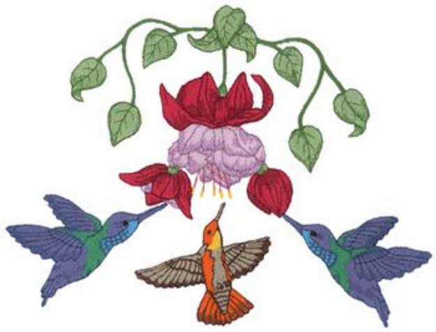 Picture of Hummingbirds & Fuchsia Machine Embroidery Design