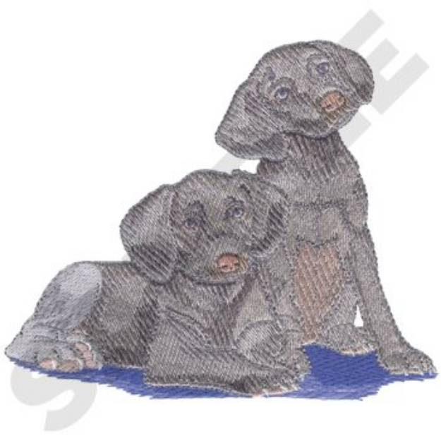 Picture of Weimaraner Puppies Machine Embroidery Design