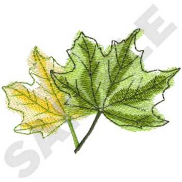 Picture of Maple Leaves Machine Embroidery Design