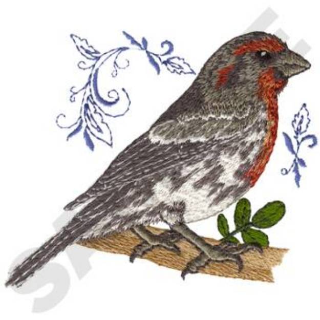 Picture of House Finch Machine Embroidery Design