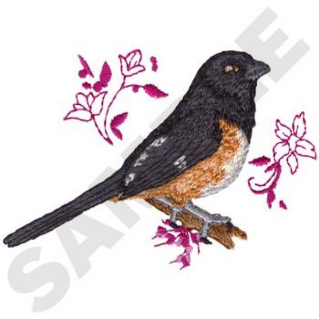 Picture of Eastern Towhee Machine Embroidery Design