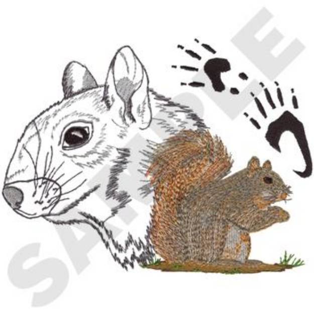 Picture of Fox Squirrel Machine Embroidery Design