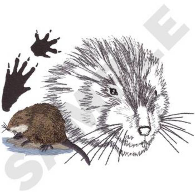 Picture of Muskrat Machine Embroidery Design