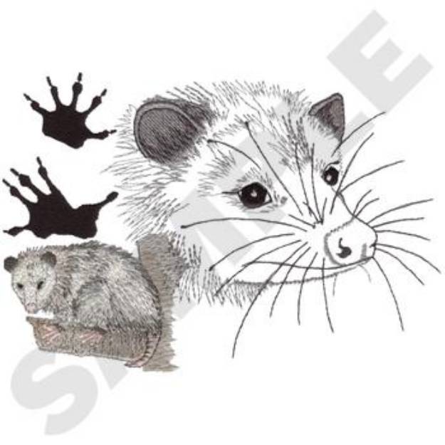 Picture of Opossum Machine Embroidery Design