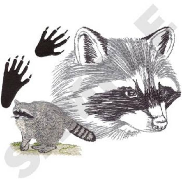 Picture of Raccoon Machine Embroidery Design