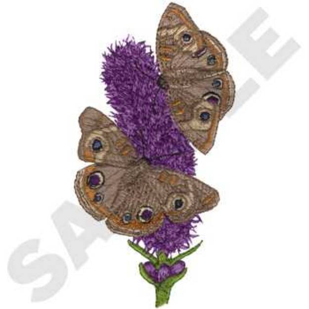 Picture of Buckeye Butterflies Machine Embroidery Design