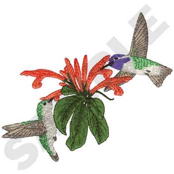 Costas Hummingbirds Machine Embroidery Design