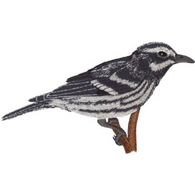 Picture of Black & White Warbler Machine Embroidery Design