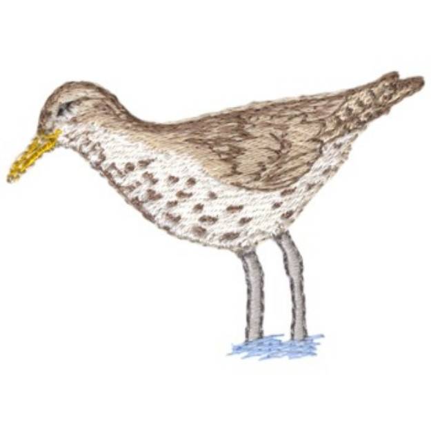 Picture of Spotted Sandpiper Machine Embroidery Design