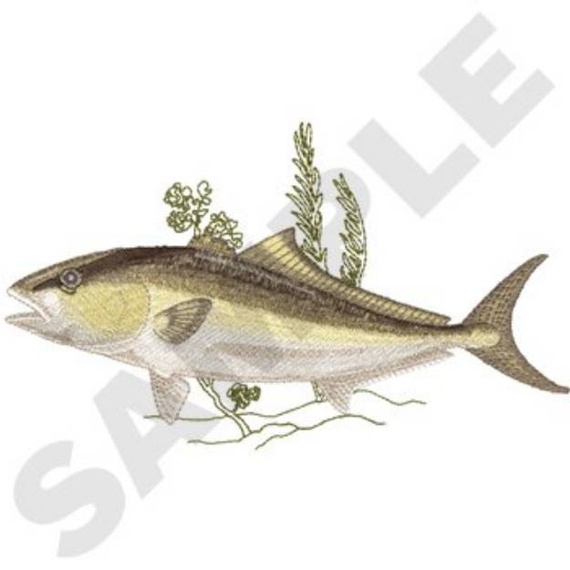 Picture of Greater Amberjack Machine Embroidery Design