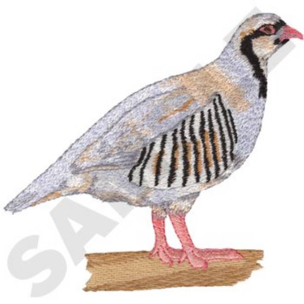 Picture of Chukar Machine Embroidery Design