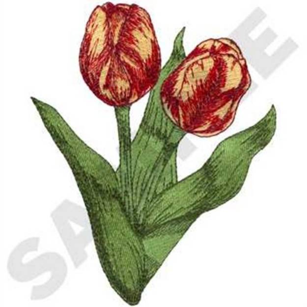 Picture of Rembrandt Tulip Machine Embroidery Design