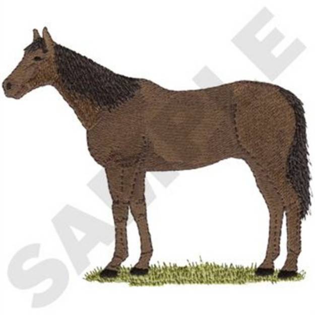 Picture of Thoroughbred Machine Embroidery Design