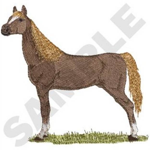 Picture of American Saddlebred Machine Embroidery Design