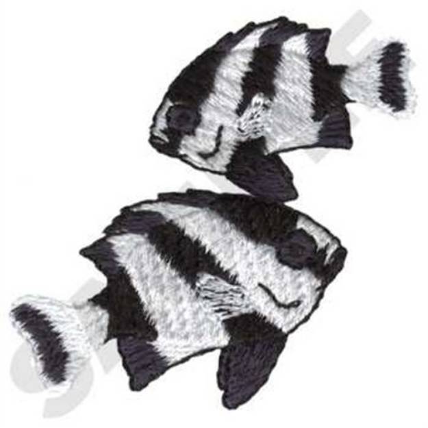 Picture of 4 Stripe Damsel Fish Machine Embroidery Design