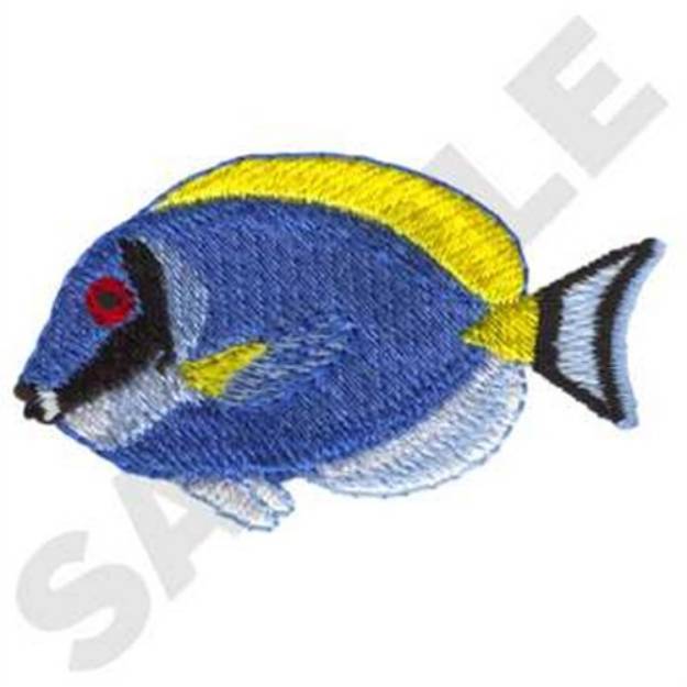 Picture of Powder Blue Tang Fish Machine Embroidery Design