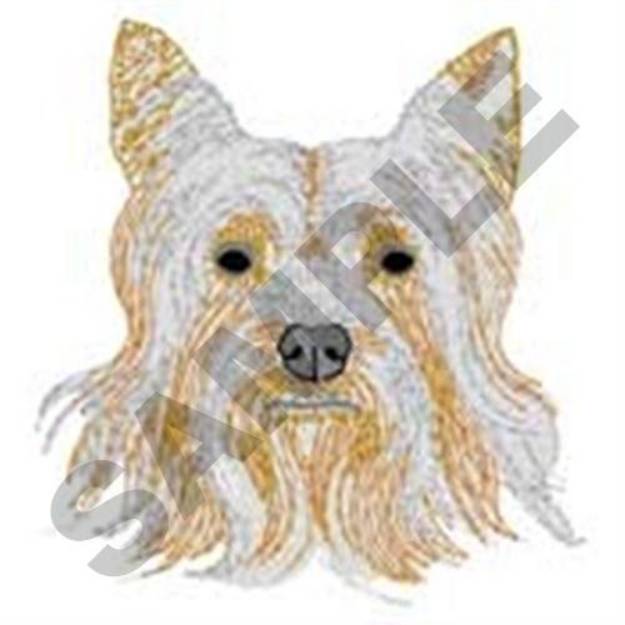 Picture of Silky Terrier Machine Embroidery Design