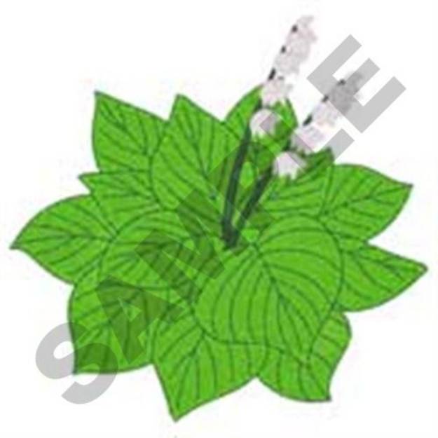 Picture of Hosta Flowers Machine Embroidery Design