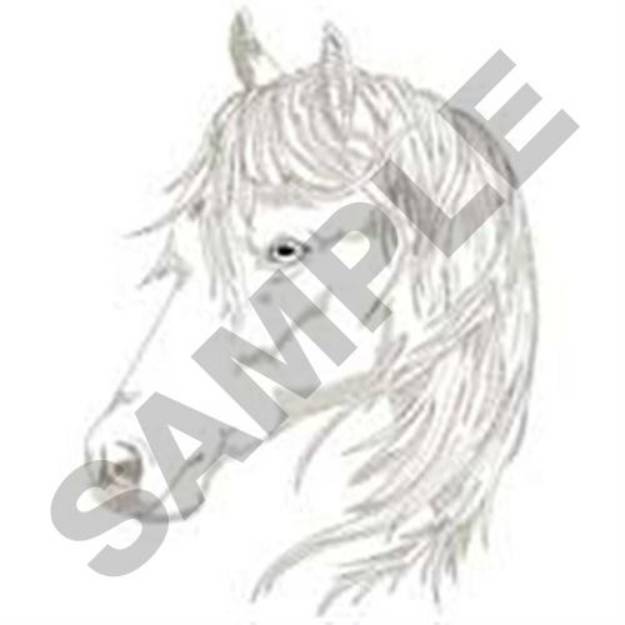 Picture of Paso Fino Head Machine Embroidery Design