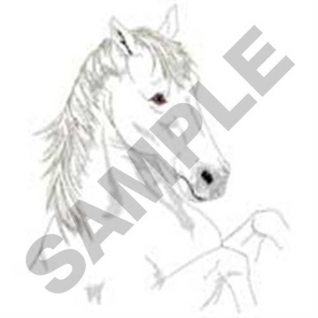 Picture of Lipizzaner Head Machine Embroidery Design