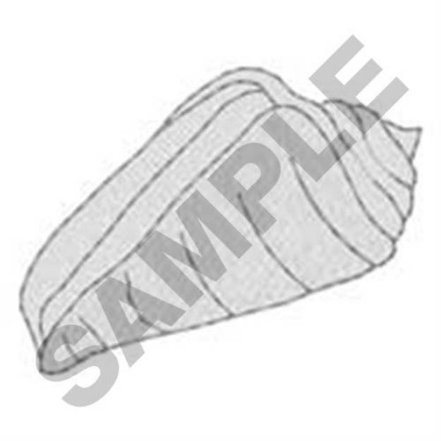 Picture of Shell Accent Machine Embroidery Design