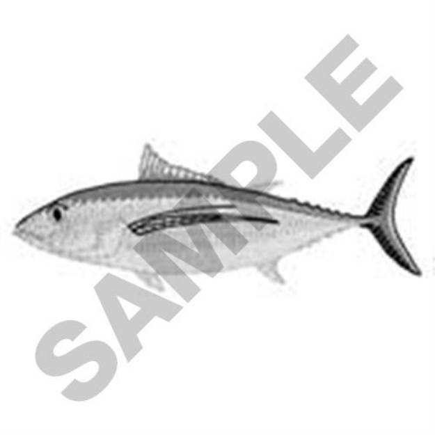 Picture of Albacore Tuna Machine Embroidery Design