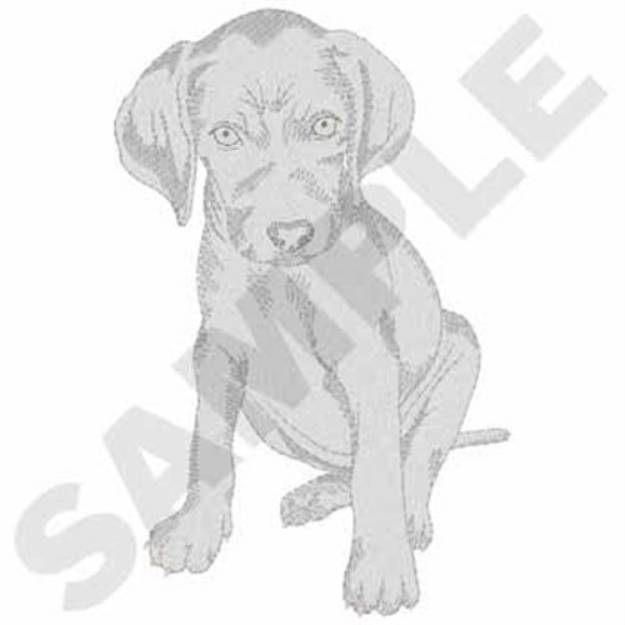 Picture of Weimaraner Puppy Machine Embroidery Design