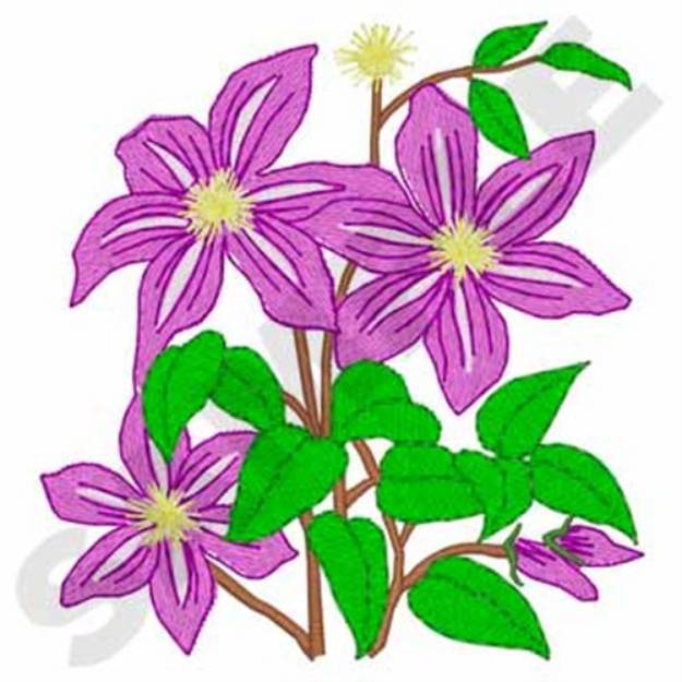 Picture of Clematis Flower Machine Embroidery Design