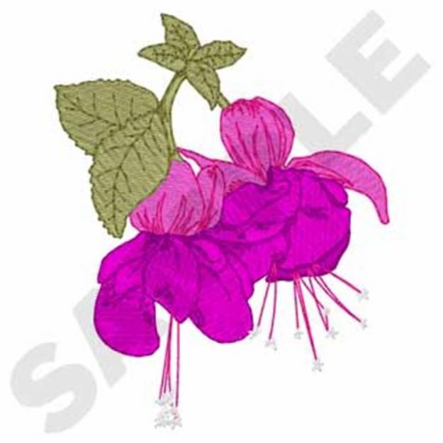 Picture of Fuchsia Machine Embroidery Design