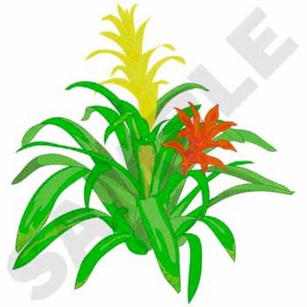 Picture of Bromeliad Machine Embroidery Design