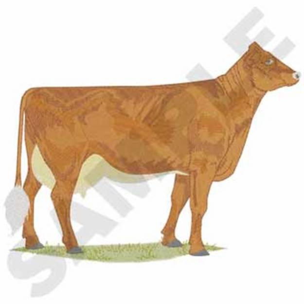 Picture of Shorthorn Cow Machine Embroidery Design