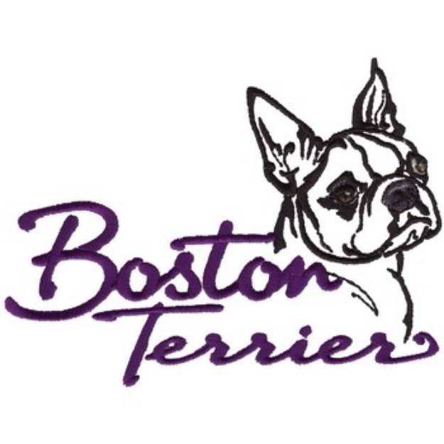 Picture of Boston Terrier Machine Embroidery Design