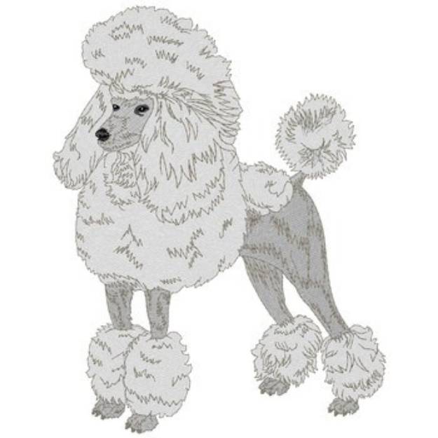 Picture of Poodle Machine Embroidery Design