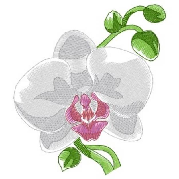 Picture of Orchid Machine Embroidery Design