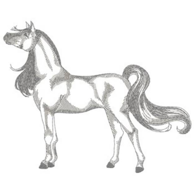 Picture of Arabian Horse Sketch Machine Embroidery Design