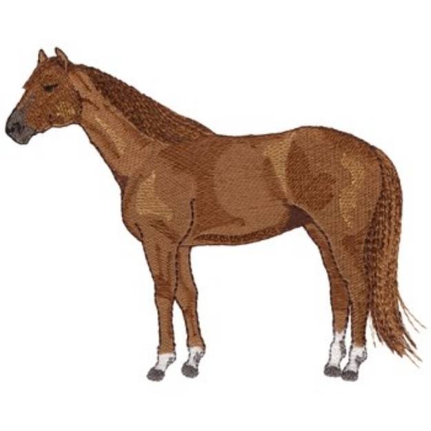 Picture of Thoroughbred Machine Embroidery Design