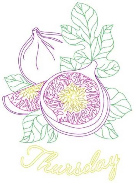 Picture of Thursday Figs Machine Embroidery Design