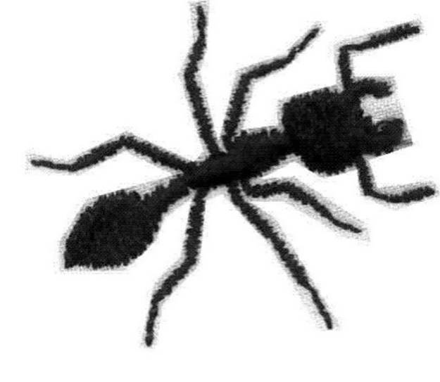 Picture of Ant Machine Embroidery Design