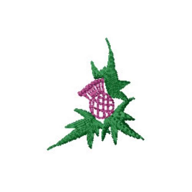 Picture of Thistle Machine Embroidery Design