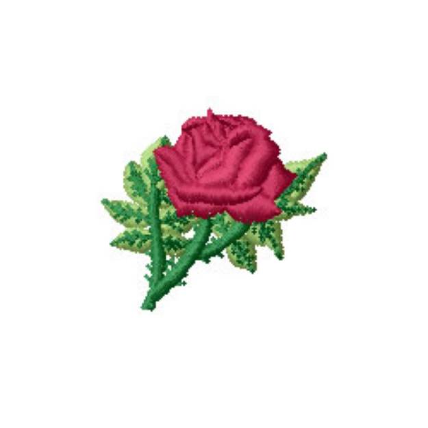 Picture of Rose Machine Embroidery Design