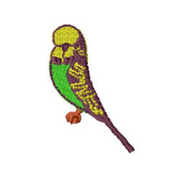 Picture of Bird Budgie Machine Embroidery Design