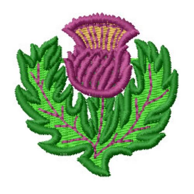 Picture of Thistle Machine Embroidery Design