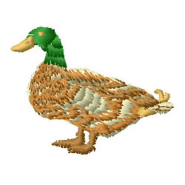 Picture of Mallard Drake Machine Embroidery Design