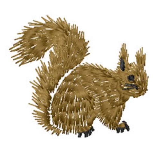 Picture of Squirrel Machine Embroidery Design