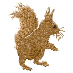 Squirrel Machine Embroidery Design