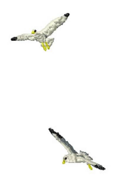 Picture of SEAGULLS Machine Embroidery Design