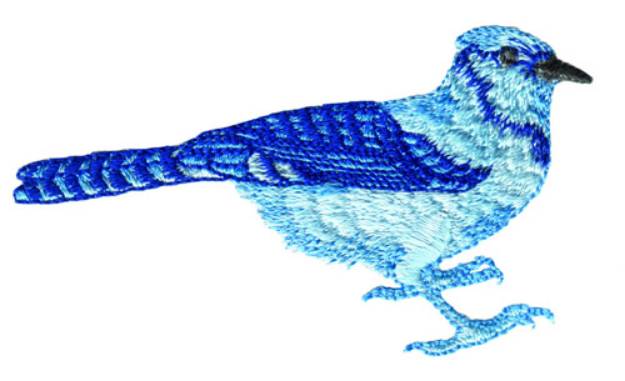 Picture of Blue Jay Machine Embroidery Design